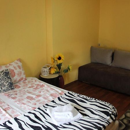 Vitoshka Biggest Apartment Sofia Luaran gambar