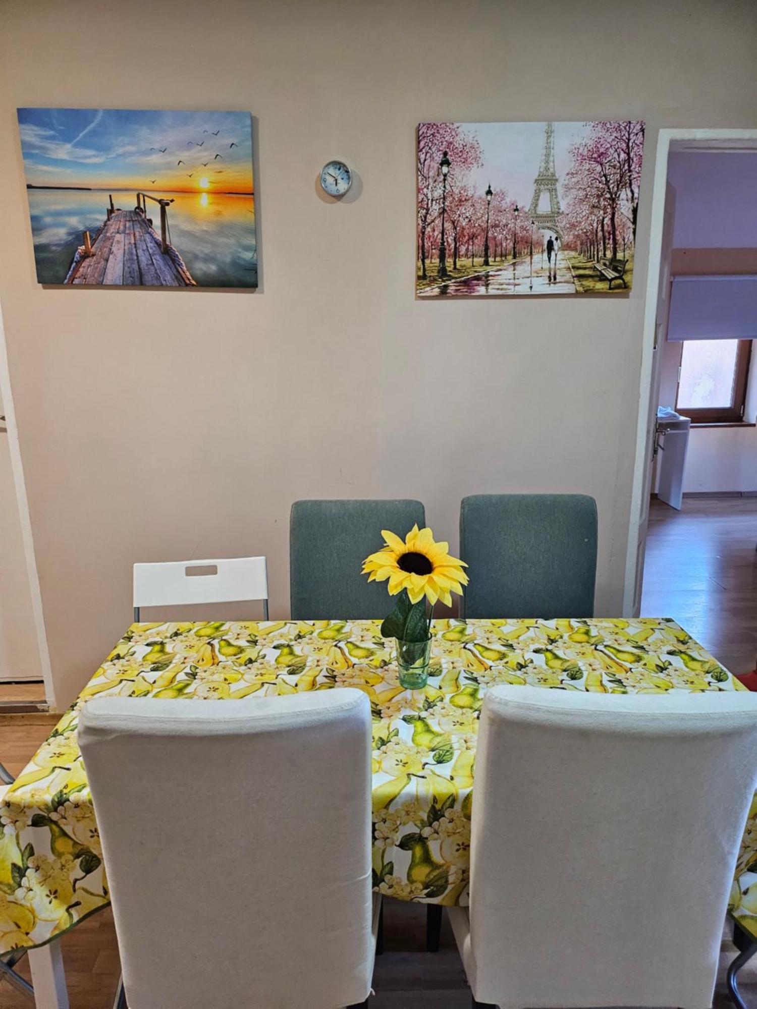 Vitoshka Biggest Apartment Sofia Luaran gambar